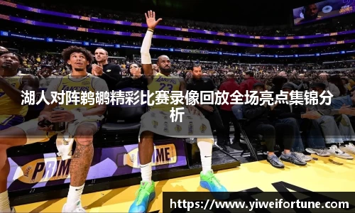 智博19