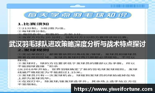 武汉羽毛球队进攻策略深度分析与战术特点探讨