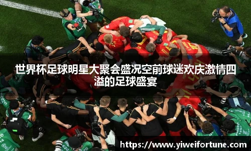 世界杯足球明星大聚会盛况空前球迷欢庆激情四溢的足球盛宴